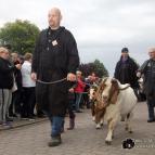 Impressionen vom Landeserntefest in Dobbertin
