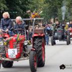 Impressionen vom Landeserntefest in Dobbertin