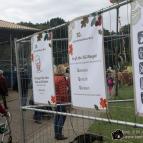 Impressionen vom Landeserntefest in Dobbertin