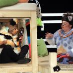 Junges Staatstheater Parchim: Szenenfoto aus Die faulste Katze der Welt