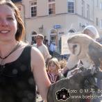 Stralsund - Impressionen der Wallensteintage 2019