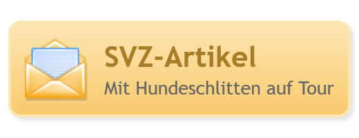 SVZ-Artikel